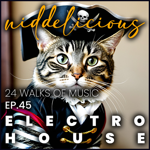 Cover art for 24 Walks of Music Ep. 45 - Electro House